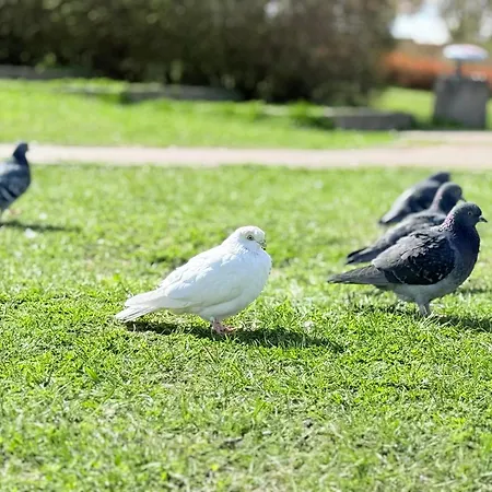 Appartement Superior Wlodarzewska, 2 Rooms, 1 Bedroom, Parking! 24h Reception! Air Condition!