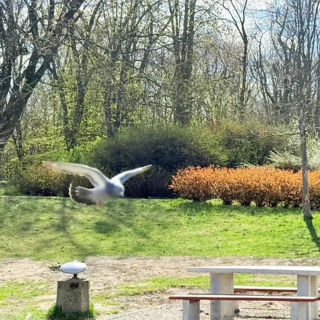 Superior Wlodarzewska, 2 Rooms, 1 Bedroom, Parking! 24h Reception! Air Condition! *